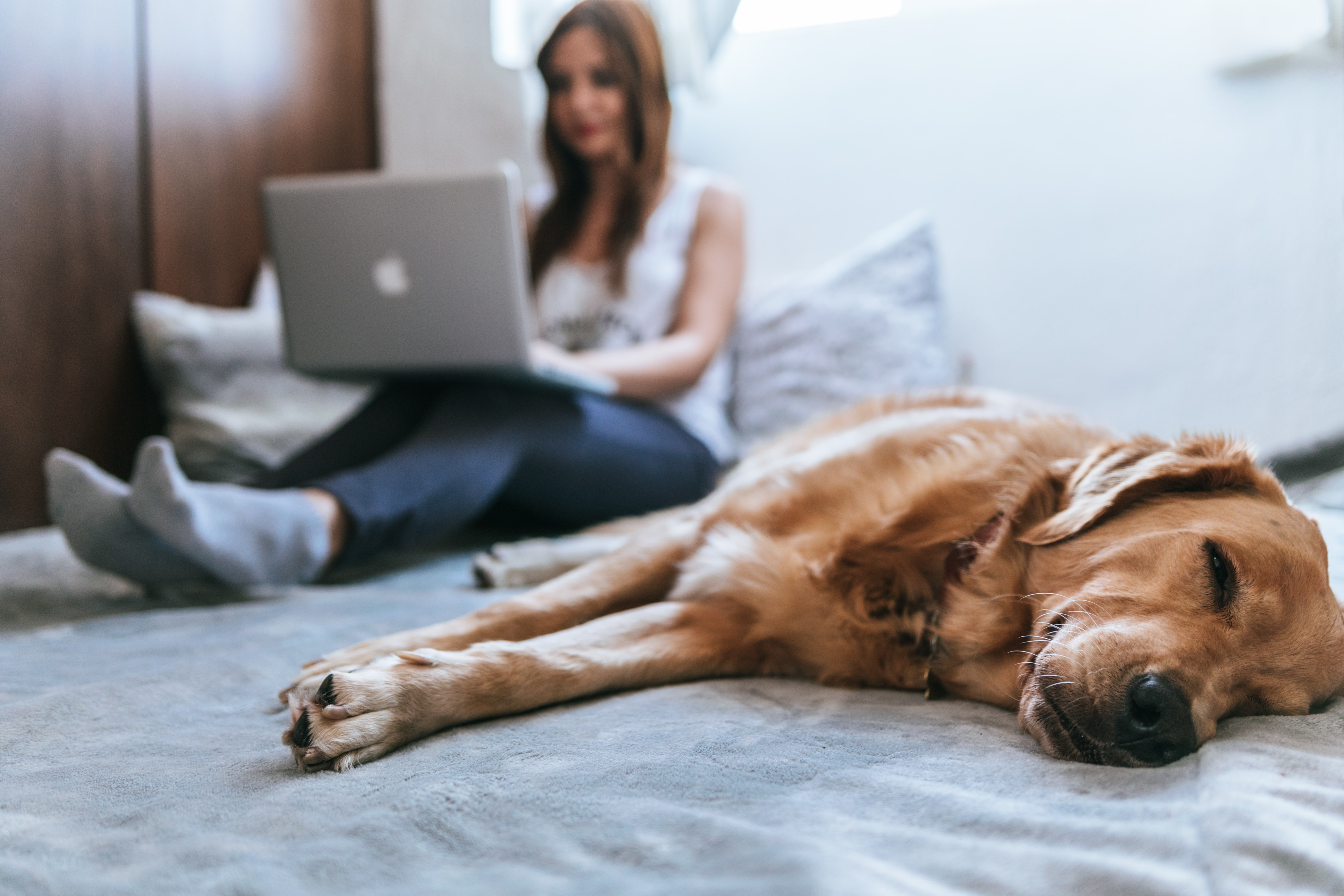 Woman on her bed using a laptop while her pet dog sleeps